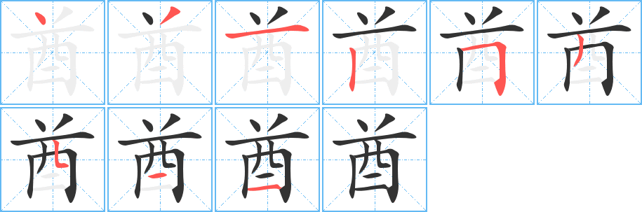 酋字完整笔顺步骤图