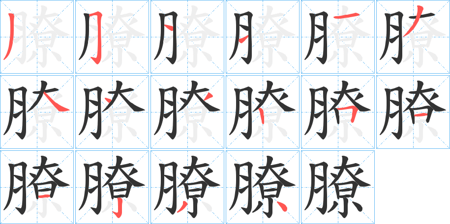 膫字完整笔顺步骤图