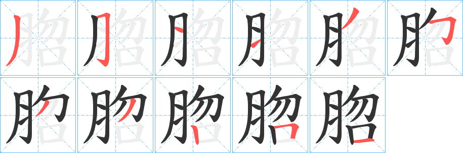 脗字笔顺步骤