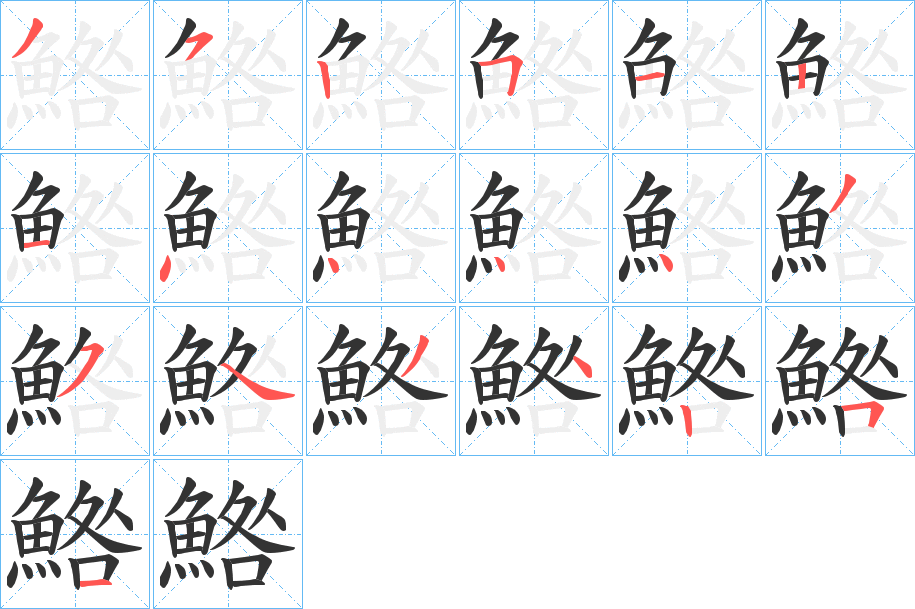 鯦字笔顺步骤
