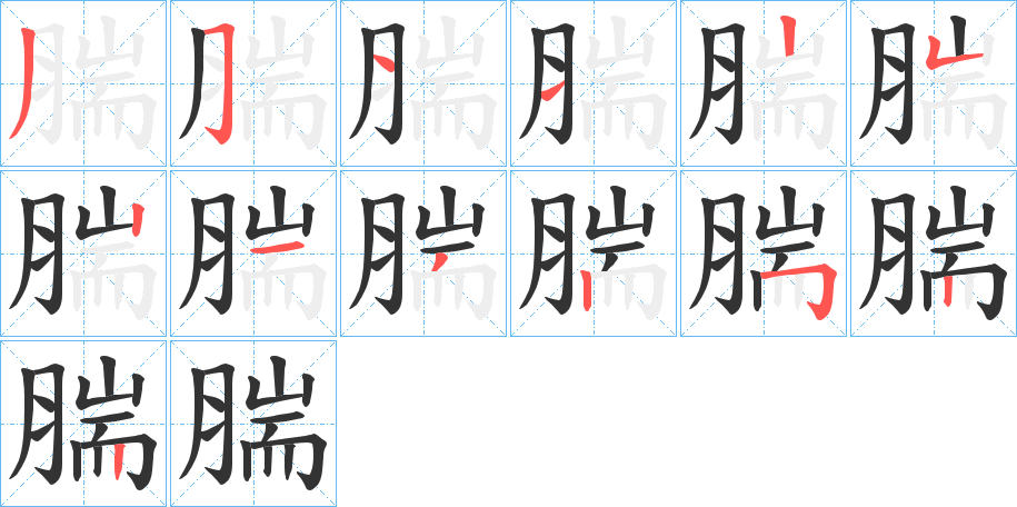 腨字笔顺步骤