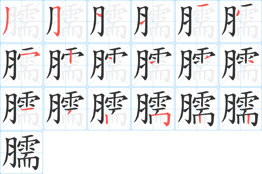 臑字完整笔顺步骤图