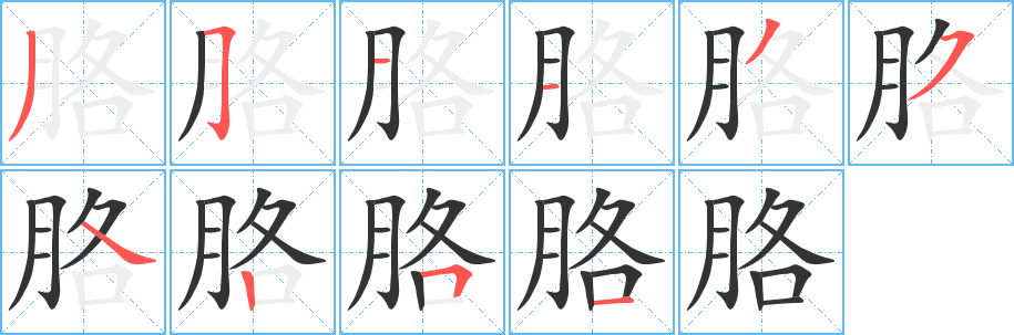胳字完整笔顺步骤图