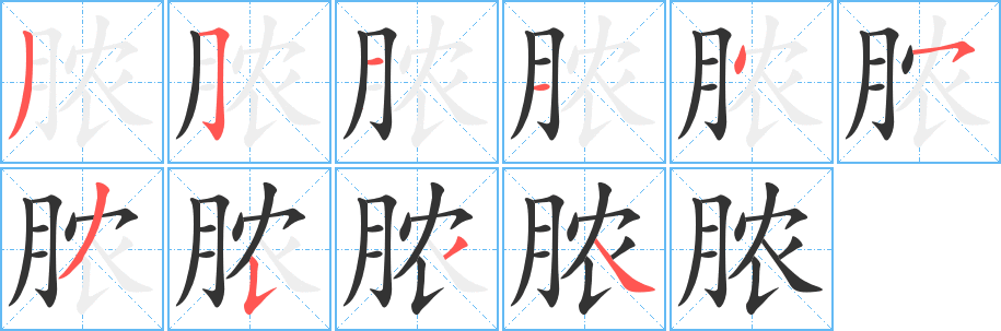 脓字完整笔顺步骤图