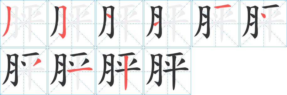 胓字笔顺步骤