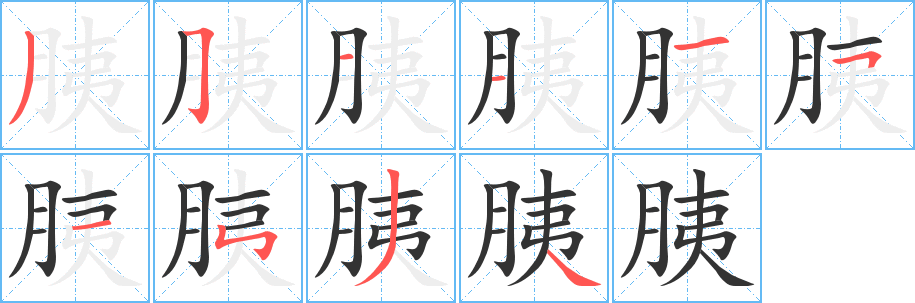 胰字完整笔顺步骤图