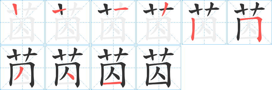 苬字笔顺步骤