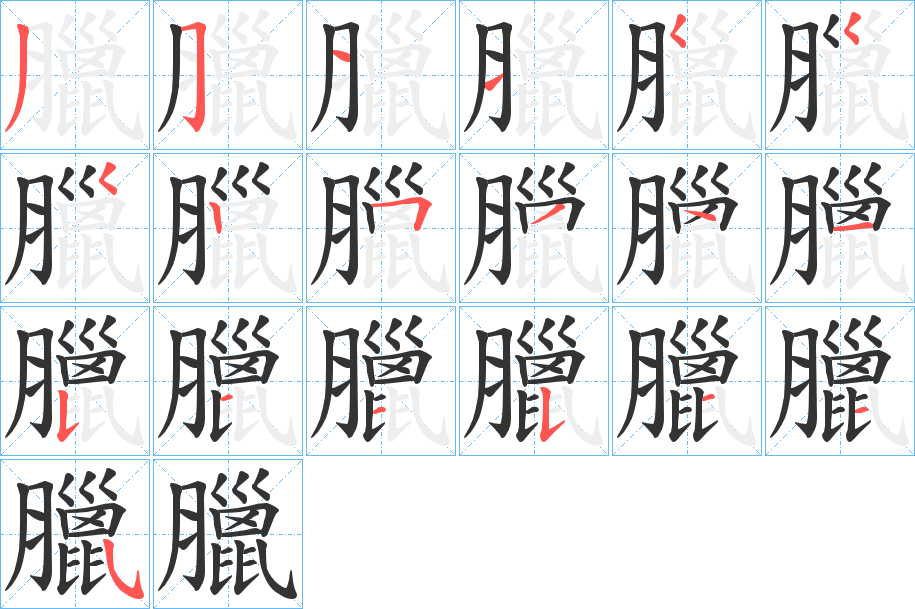 臘字完整笔顺步骤图