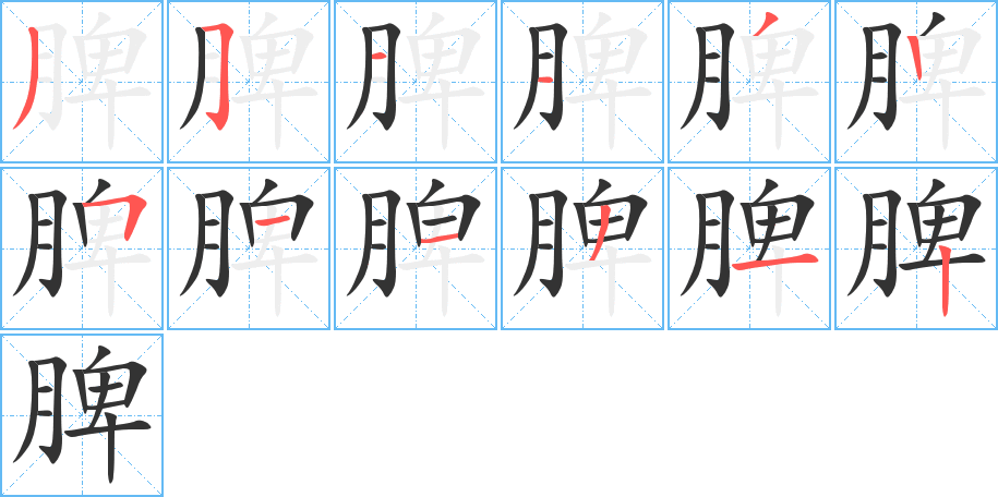 脾字完整笔顺步骤图
