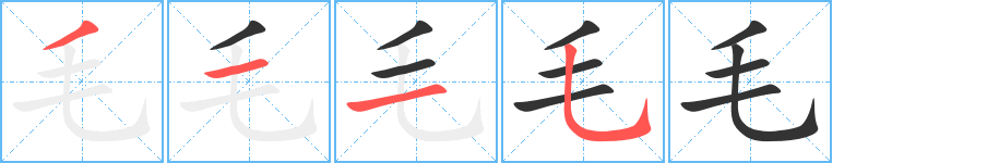 毛字完整笔顺步骤图
