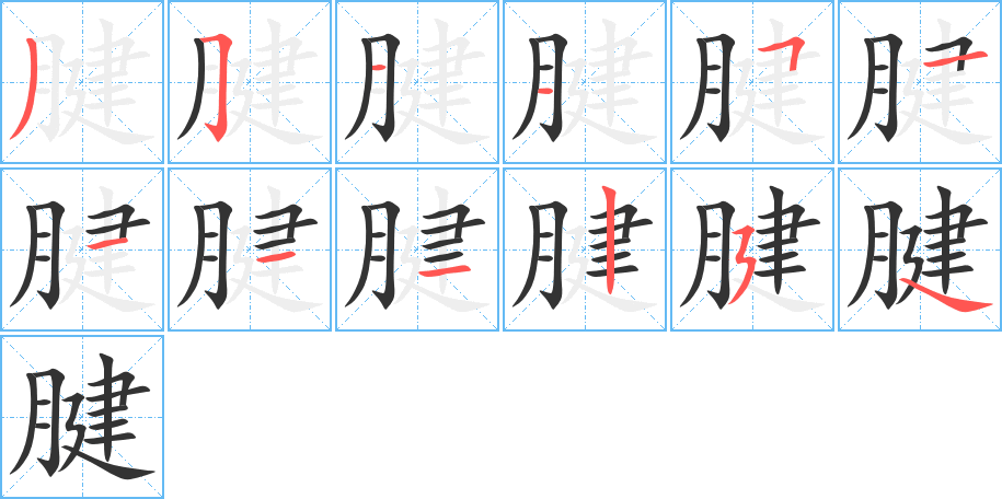 腱字完整笔顺步骤图
