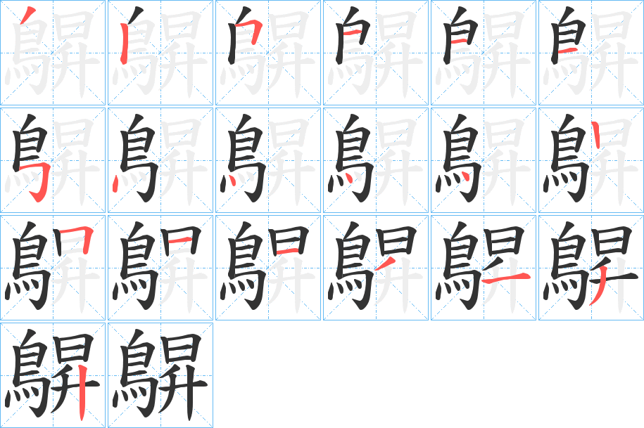 鵿字完整笔顺步骤图