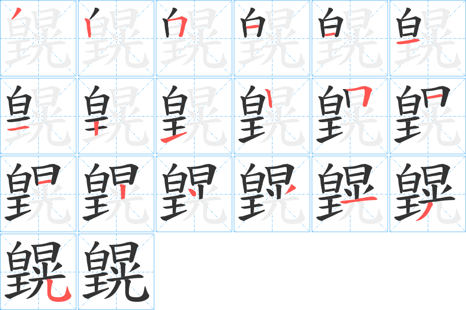 皩字完整笔顺步骤图