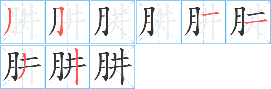 肼字完整笔顺步骤图