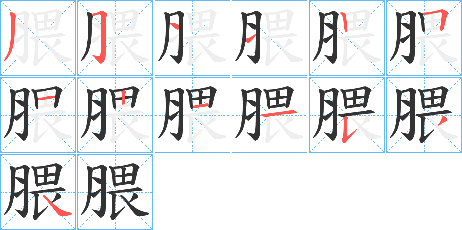 腲字笔顺步骤