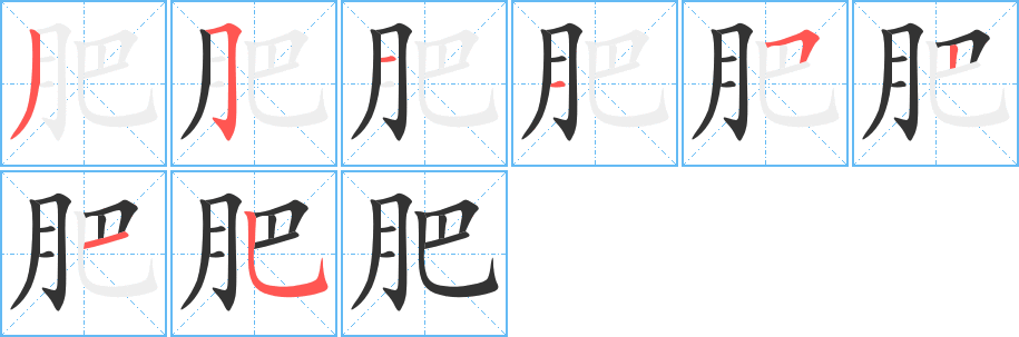 肥字完整笔顺步骤图