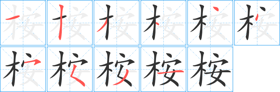 桉字完整笔顺步骤图