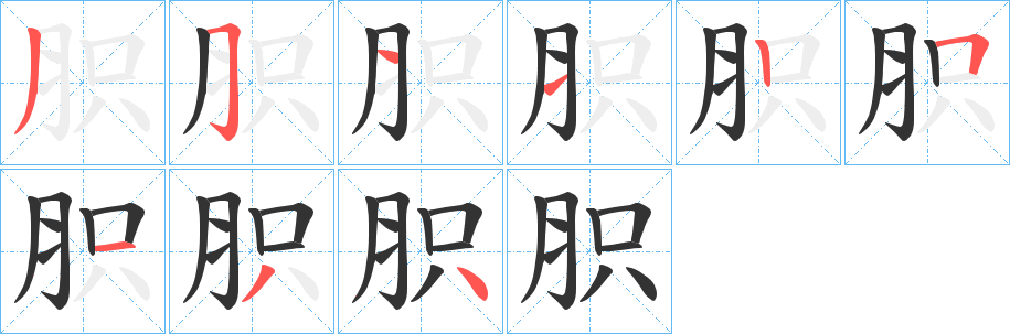 胑字笔顺步骤