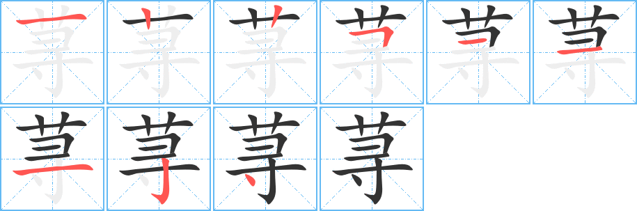 荨字完整笔顺步骤图