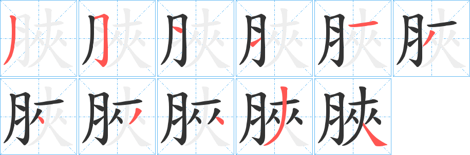 脥字笔顺步骤