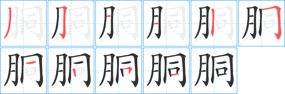 胴字完整笔顺步骤图
