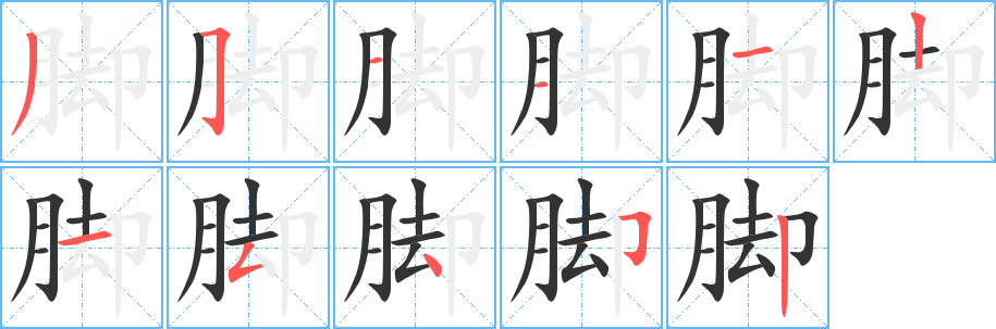 脚字完整笔顺步骤图