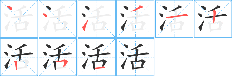 活字完整笔顺步骤图
