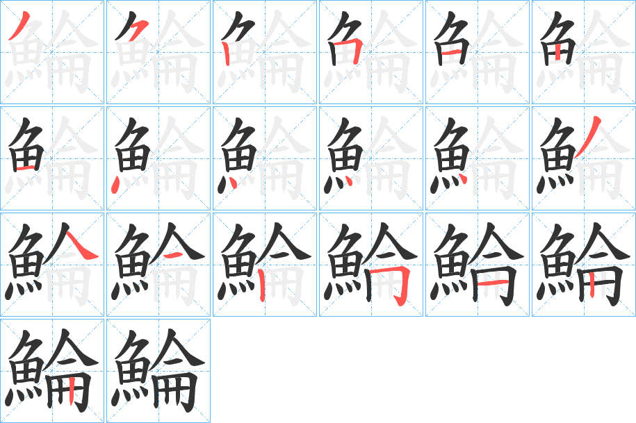 鯩字完整笔顺步骤图