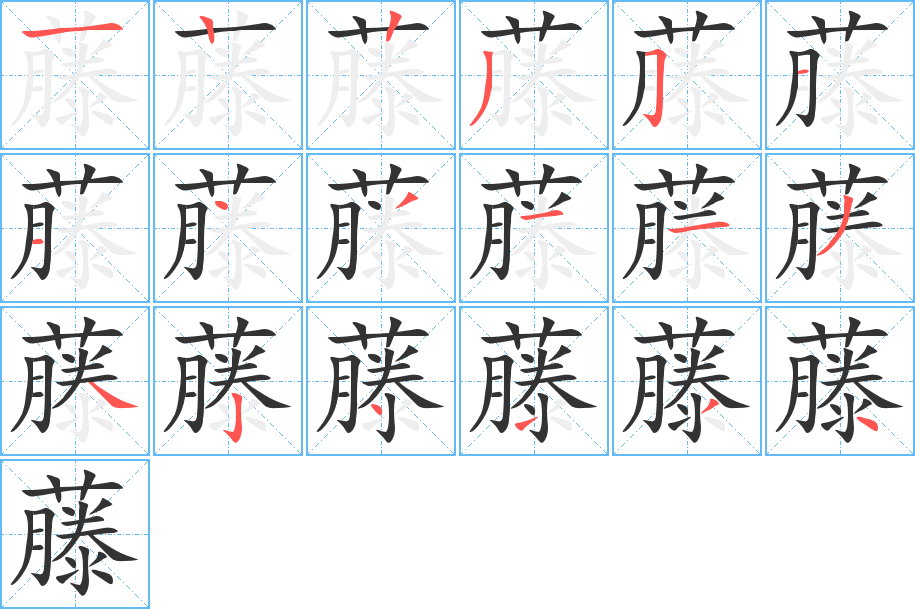 藤字完整笔顺步骤图