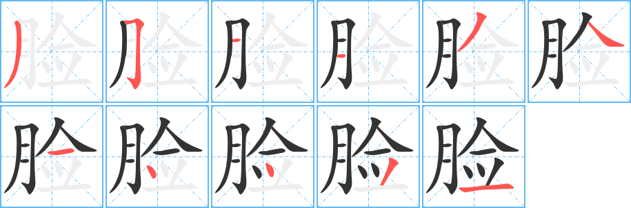 脸字完整笔顺步骤图