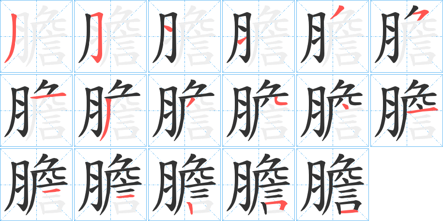 膽字完整笔顺步骤图