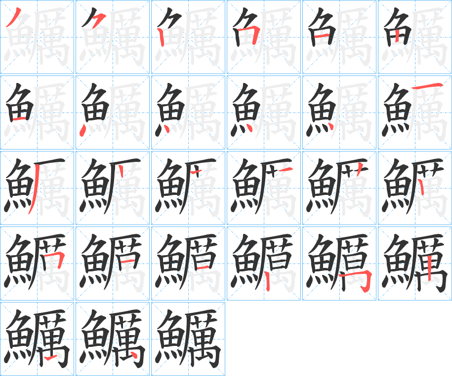 鱱字笔顺步骤