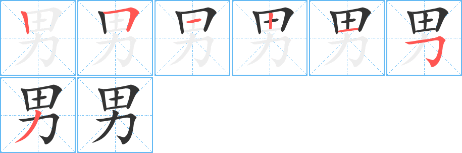 男字完整笔顺步骤图