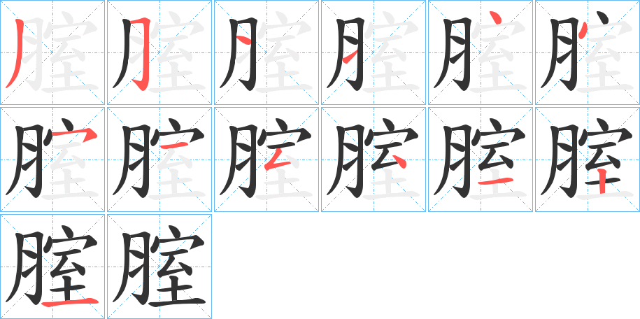 腟字笔顺步骤