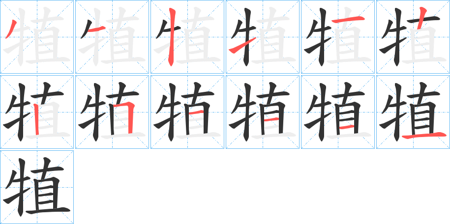 犆字完整笔顺步骤图