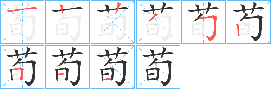 荀字完整笔顺步骤图