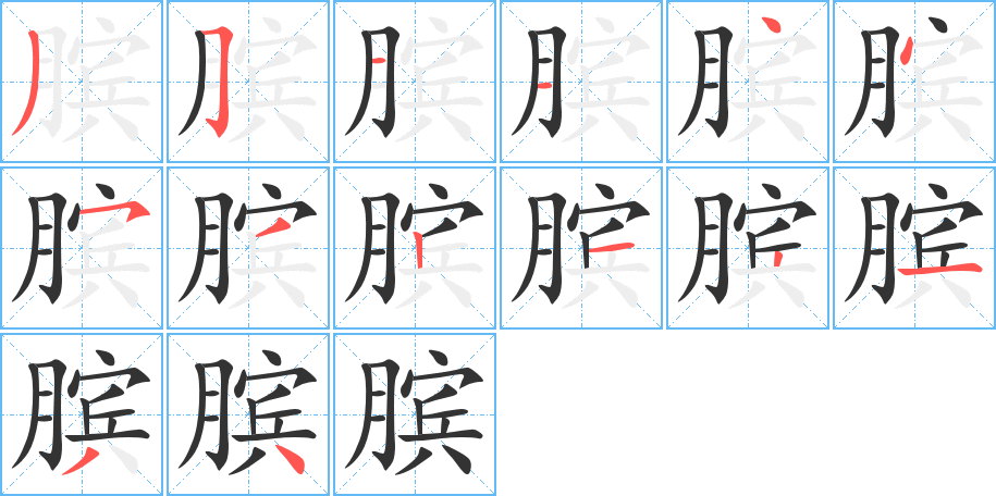膑字完整笔顺步骤图