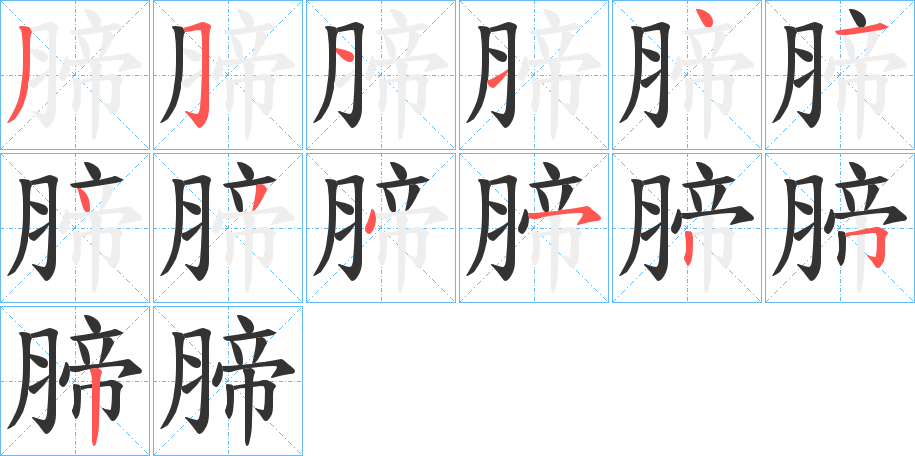 腣字笔顺步骤
