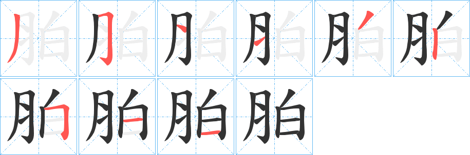 胉字笔顺步骤