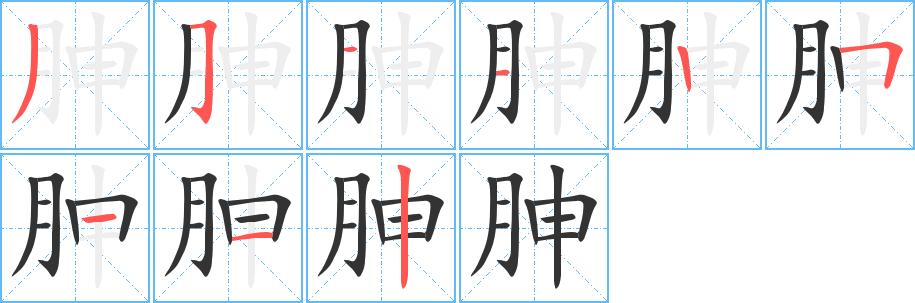 胂字完整笔顺步骤图