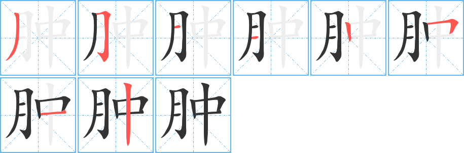 肿字完整笔顺步骤图