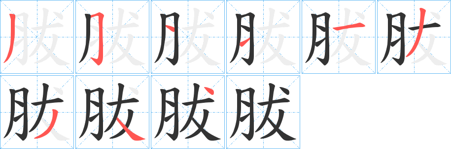 胈字笔顺步骤
