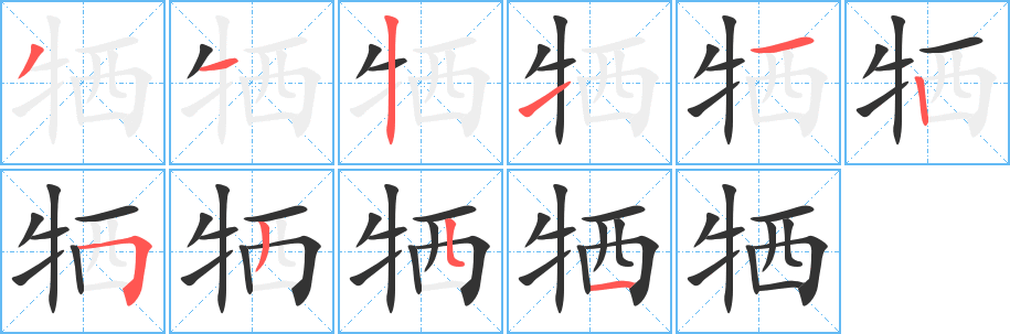 牺字完整笔顺步骤图