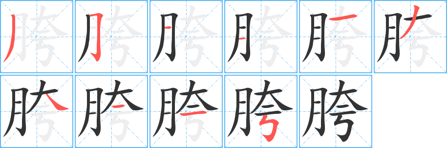 胯字完整笔顺步骤图