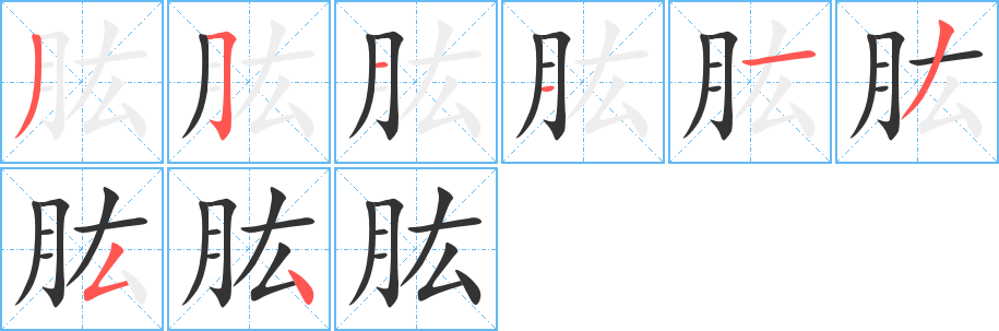 肱字完整笔顺步骤图