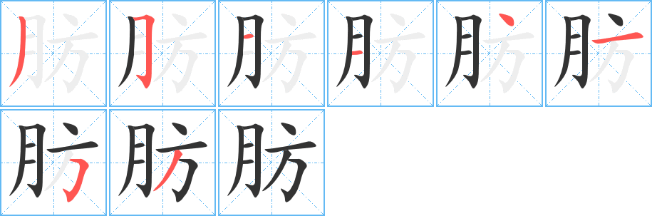 肪字完整笔顺步骤图