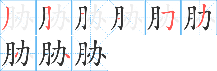 胁字完整笔顺步骤图