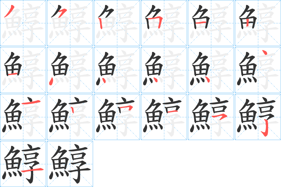 鯙字笔顺步骤