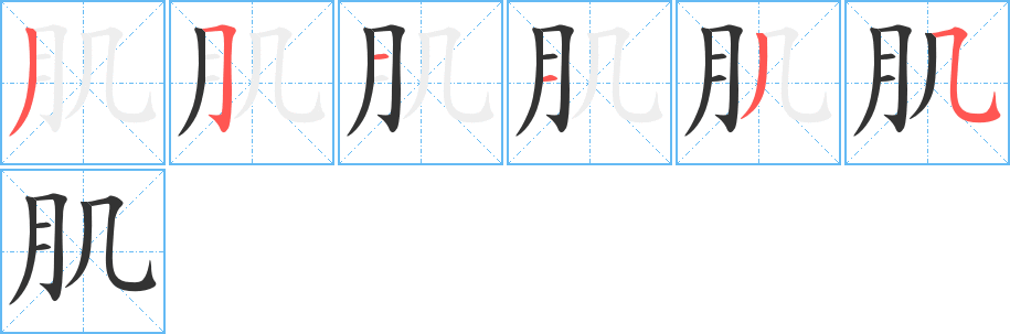 肌字完整笔顺步骤图