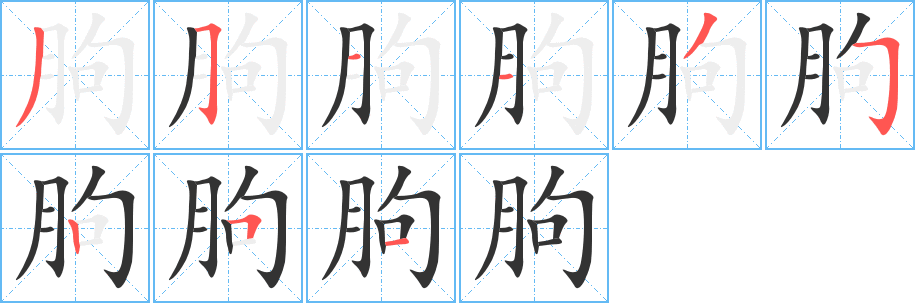 朐字完整笔顺步骤图